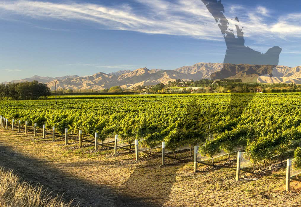 Fruition Horticulture