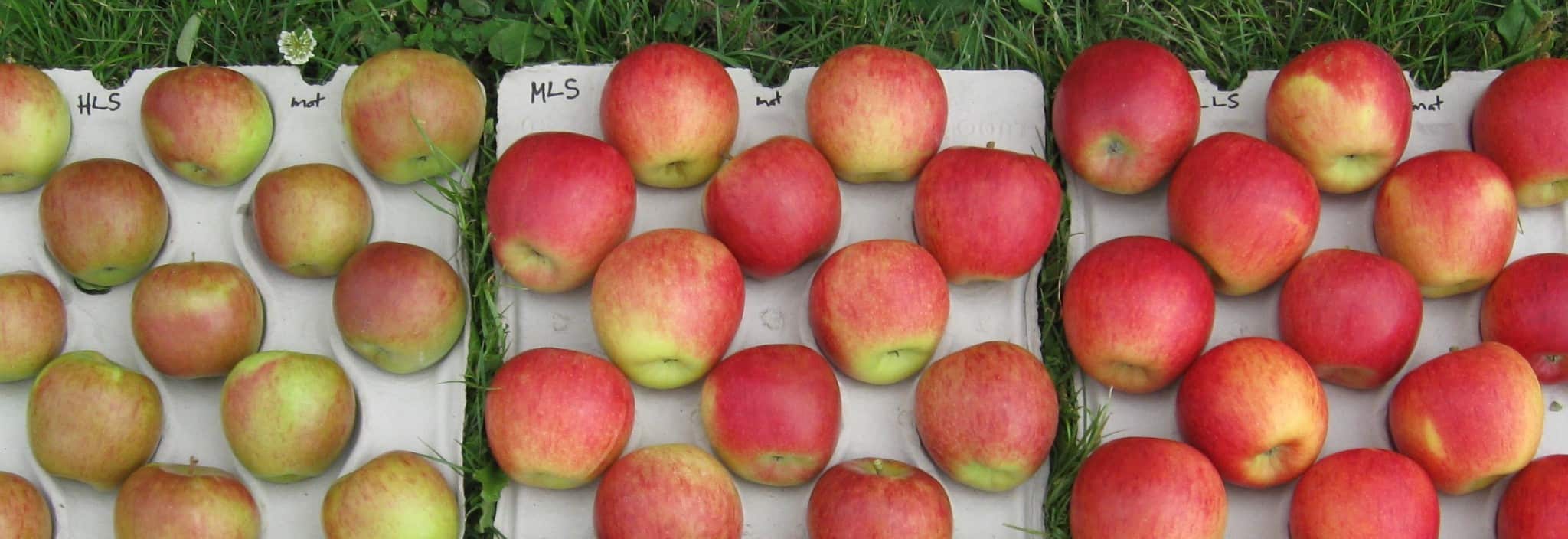 Research Fruition Horticulture